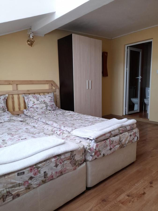 Yana Guest House Dobrinishte Buitenkant foto