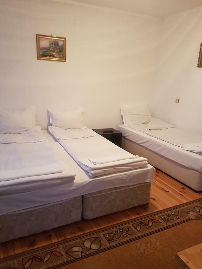 Yana Guest House Dobrinishte Buitenkant foto